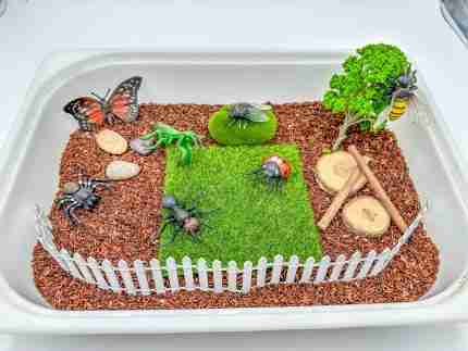 Insect Sensory Bin - Image 3