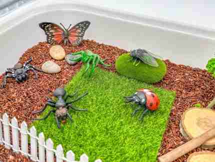 Insect Sensory Bin - Image 5