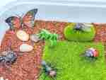 Insect Sensory Bin - Image 6
