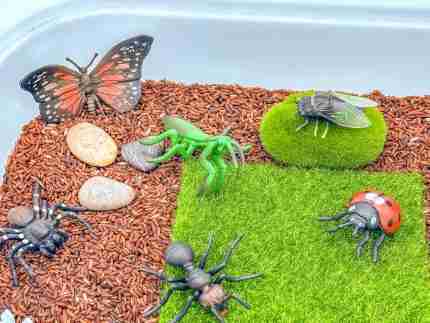 Insect Sensory Bin - Image 6