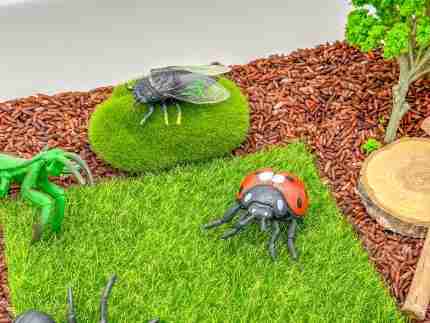 Insect Sensory Bin - Image 7