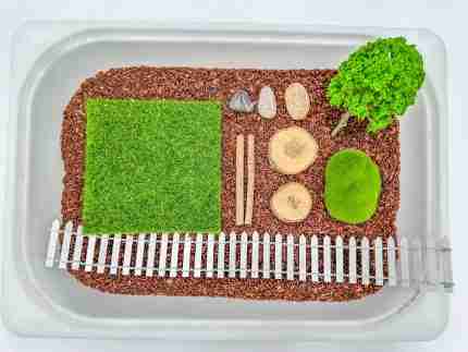 Insect Sensory Bin - Image 8