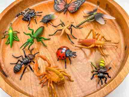 Insect Sensory Bin - Image 9