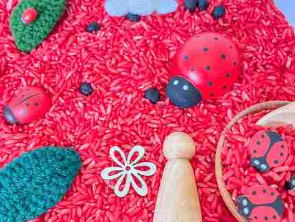 Ladybug Sensory Bin