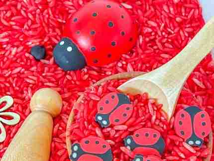 Ladybug Sensory Bin