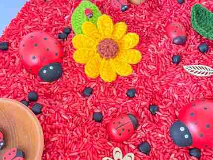 Ladybug Sensory Bin