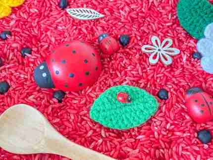 Ladybug Sensory Bin
