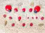 Ladybug Sensory Bin