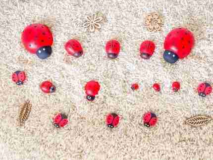 Ladybug Sensory Bin
