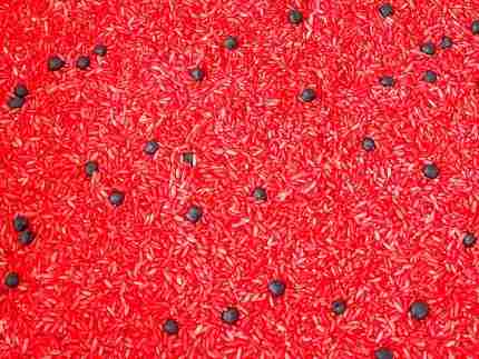 Ladybug Sensory Bin - Image 11