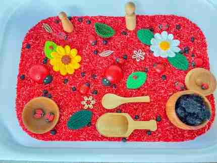 Ladybug Sensory Bin