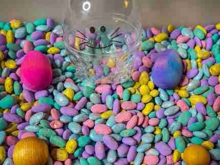 Pastel Beans Easter Sensory Bin - Image 3