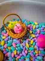 Pastel Beans Easter Sensory Bin - Image 4