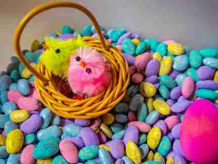 Pastel Beans Easter Sensory Bin - Image 4