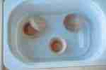 Pastel Rice Starter Set - Image 8