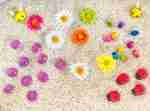 Spring Flower Sensory Bin - Image 9