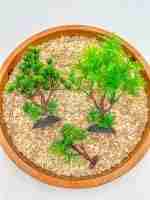Zoo Sensory Bin - Image 9