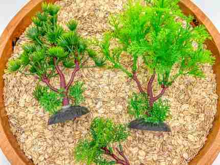 Zoo Sensory Bin - Image 9