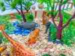 Zoo Sensory Bin - Image 6