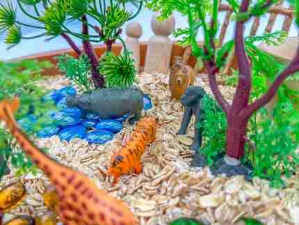 Zoo Sensory Bin - Image 6
