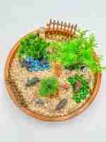 Zoo Sensory Bin - Image 4