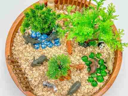 Zoo Sensory Bin - Image 4