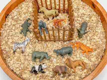 Zoo Sensory Bin - Image 8