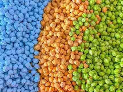 Dinosaur Chickpea Sensory Filler