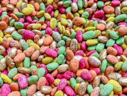 Fall Bean Sensory Filler