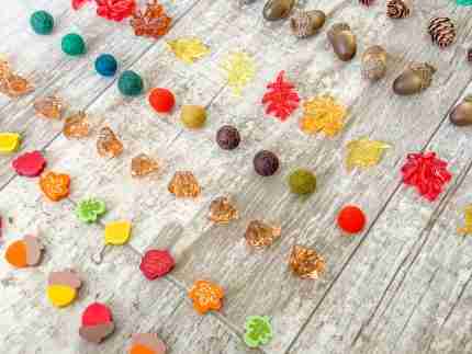 Fall/Autumn Counting Set - Image 3