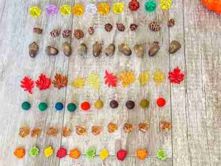 Fall/Autumn Counting Set - Image 5