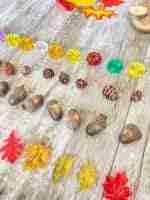 Fall/Autumn Counting Set - Image 8