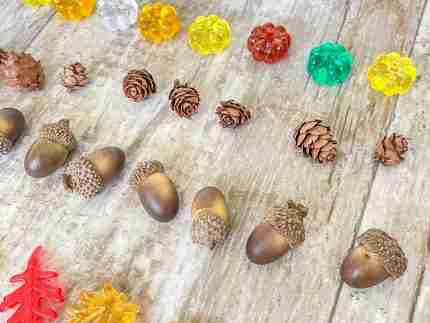 Fall/Autumn Counting Set - Image 8