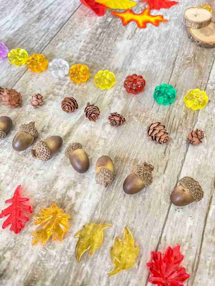 Fall/Autumn Counting Set - Sensory-N-Stuff