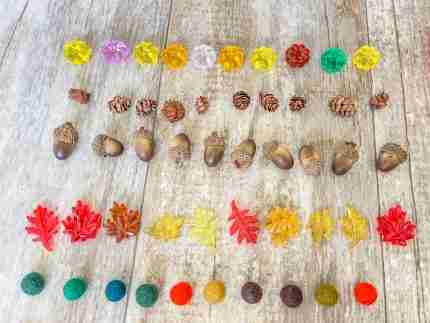 Fall/Autumn Counting Set - Image 11