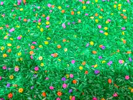 Spring Rice With Flowers
