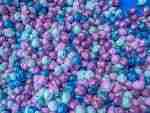 Frozen Chickpea Sensory Filler