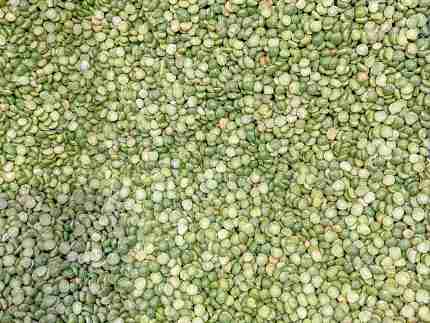 Split green peas sensory bin filler