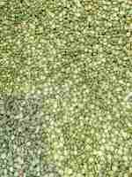 Split green peas sensory bin filler
