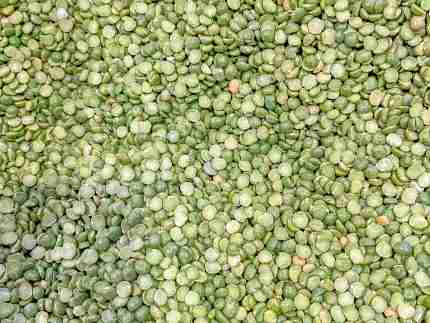 Split green peas sensory bin filler