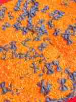 Halloween Bat Sensory Rice
