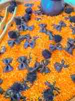 Halloween Bat Sensory Rice