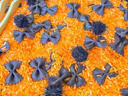 Halloween Bat Sensory Rice