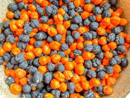 Halloween Chickpea Sensory Bin Filler