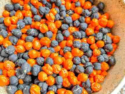 Halloween Chickpea Sensory Bin Filler