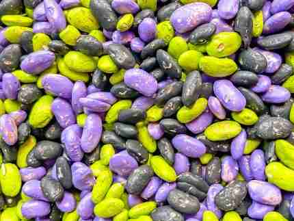 Halloween Bean Sensory Filler