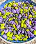 Halloween Bean Sensory Filler