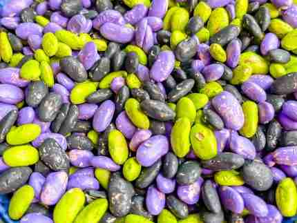 Halloween Bean Sensory Filler