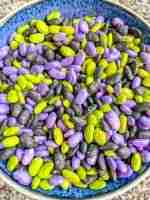Halloween Bean Sensory Filler