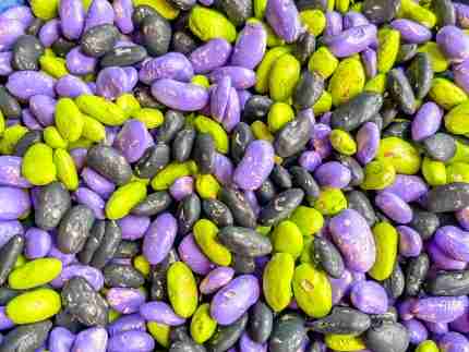 Halloween Bean Sensory Filler